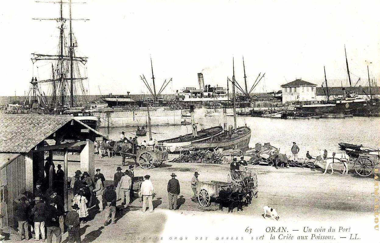 2379- Oran - Port - Criee aux Poissons - 1906.jpg